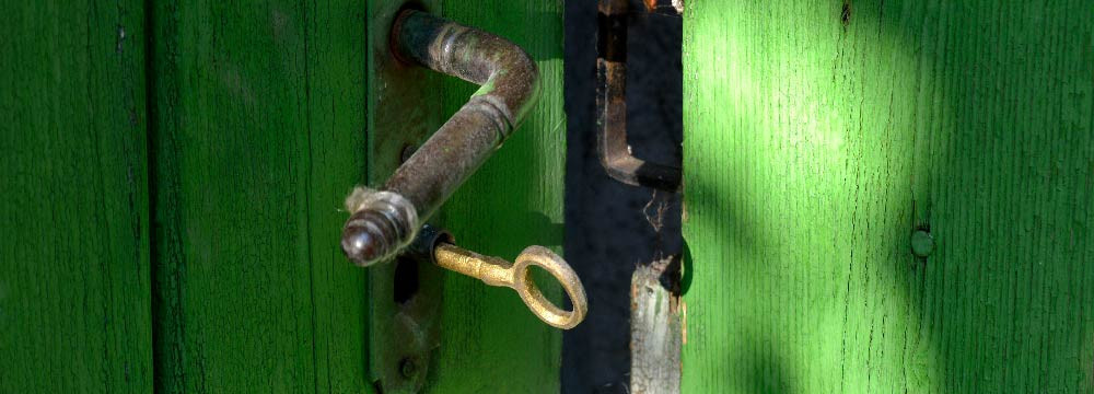 Frosch Schlusselanhanger, Natur Accessoire und kleines Geschenk