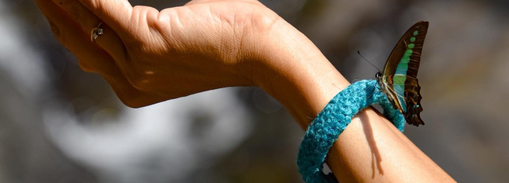 Schmetterling Armband, Natur Schmuck am Handgelenk und Geschenkidee