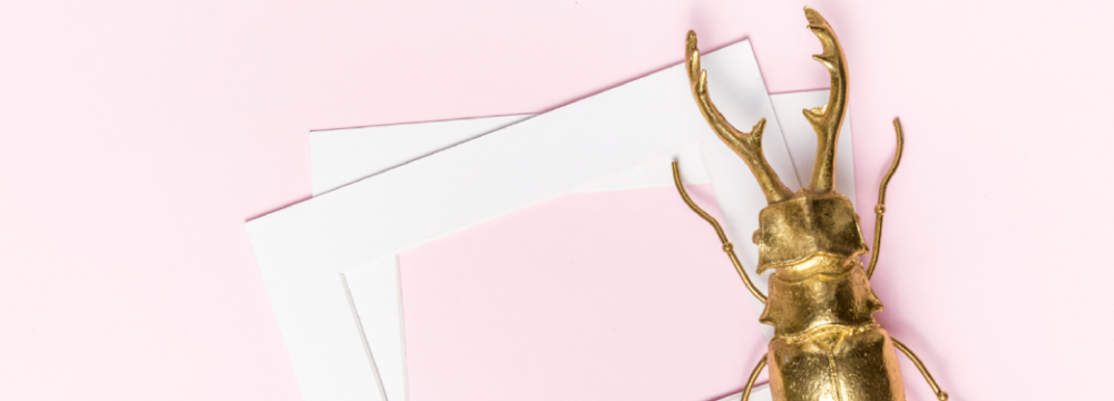 Skarabaus Scrapbooking, Bastel Deko und Natur Album Zubehor
