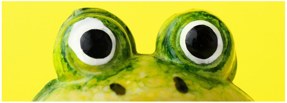 Frosch Maskottchen, Natur Pluschtier und Gluecksbringer Geschenk