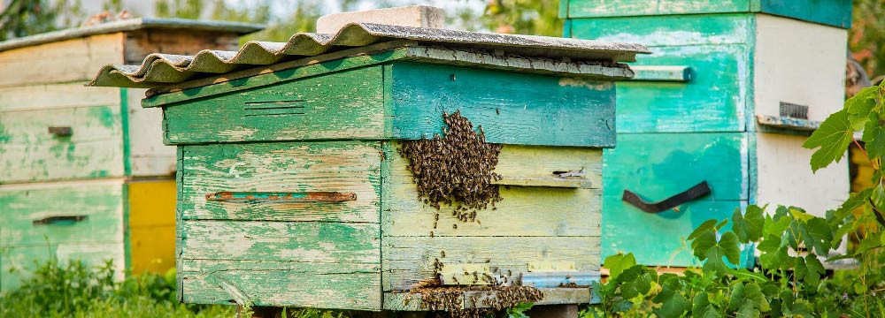 Bienen Deko fur das Zuhause, Deko und DIY