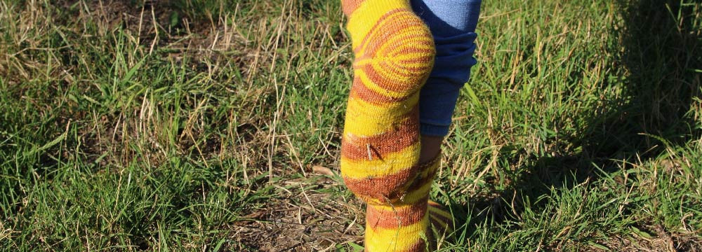 Bienen-Socken, Baumwolle und lustiges Motiv