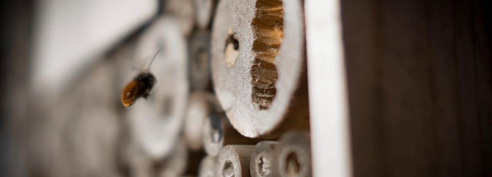 Bienen-Gartendeko, Bienenhotels und Deko