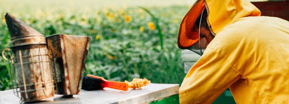 Bienen-Cap, Sonnenschutz und urbaner Stil