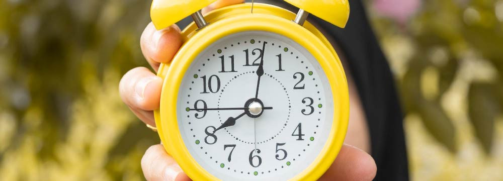 Bienen-Uhr, dekorative Wanduhr Natur