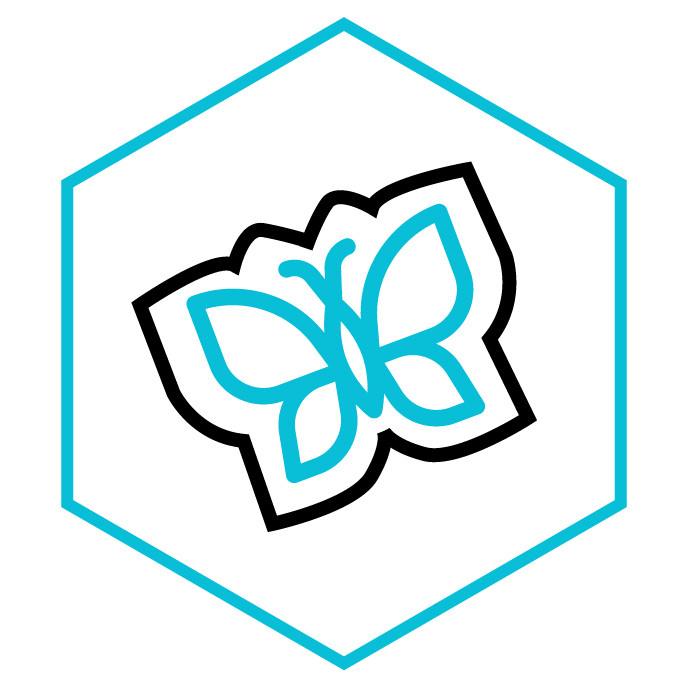 Kategoriesymbol Sticker Aufkleber Schmetterling