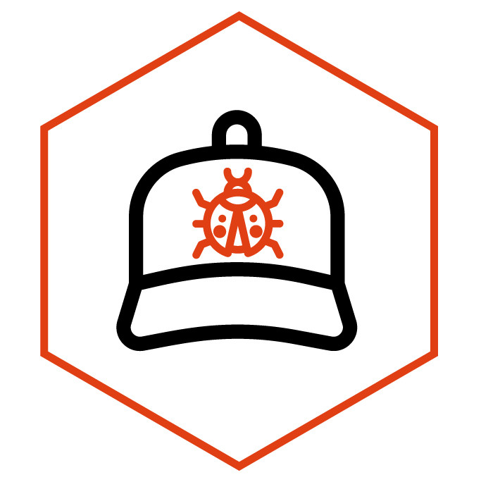 Kategoriesymbol Cap Marienkäfer