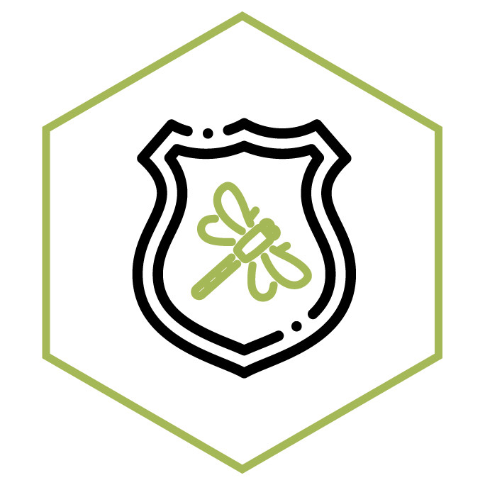 Kategoriesymbol Aufnäher & Abzeichen Libelle