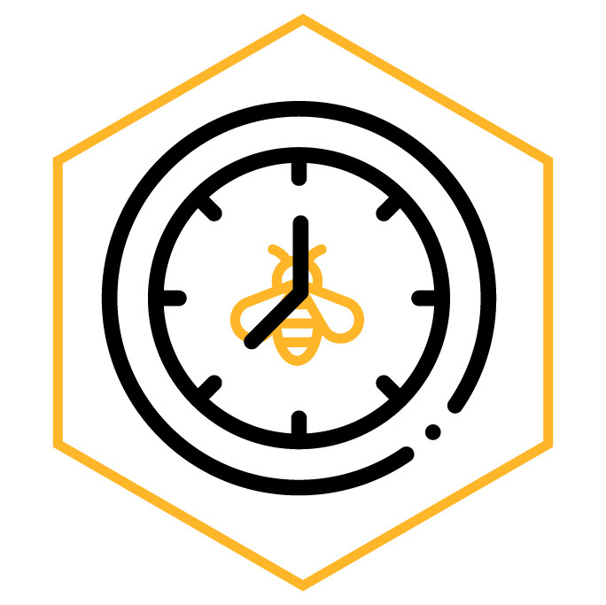 Kategoriesymbol Bienen-Uhr
