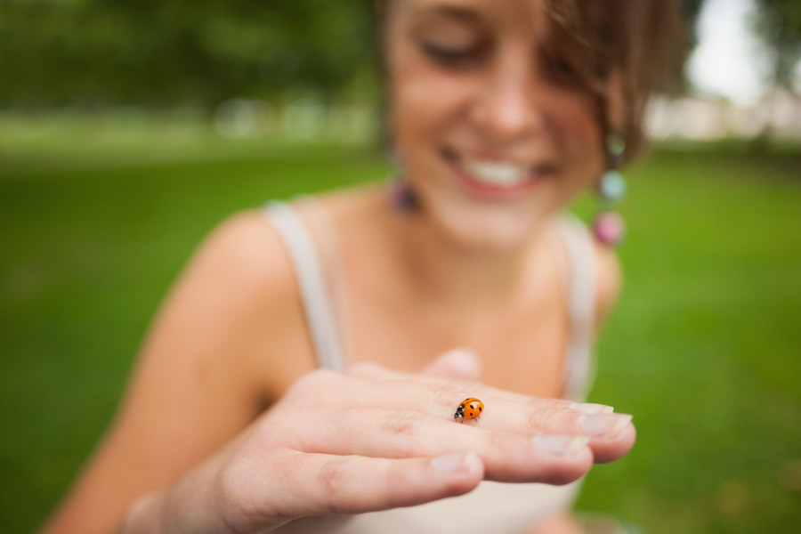 Der Marienkafer Verbundeter des Gartens und der Biodiversitat