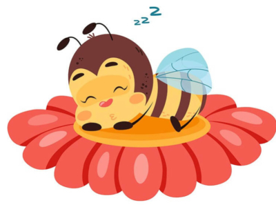 Schlafen Bienen? Entdecken Sie ihre Ruhephasen