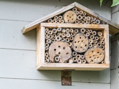 Was ist ein Insektenhotel oder Insektenhaus?