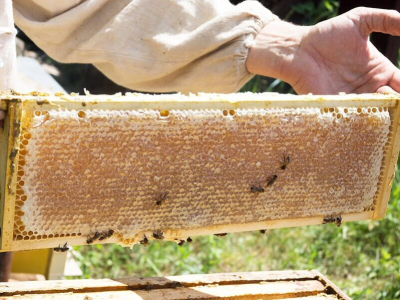 Was ist Bienenwachs?