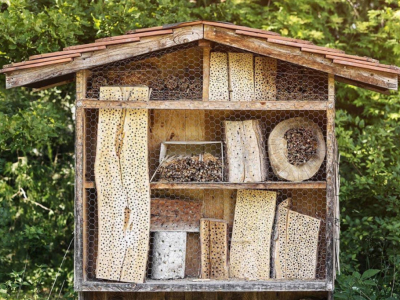 Ist ein Bienenhotel wirklich nützlich?